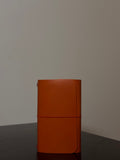 Vela Saffron No. 003